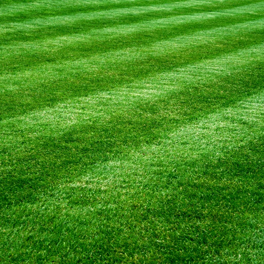 greenskeepers-of-madison-lawn-care-landscaping-madison-wi